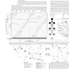 Obrotowa mapa nieba DO