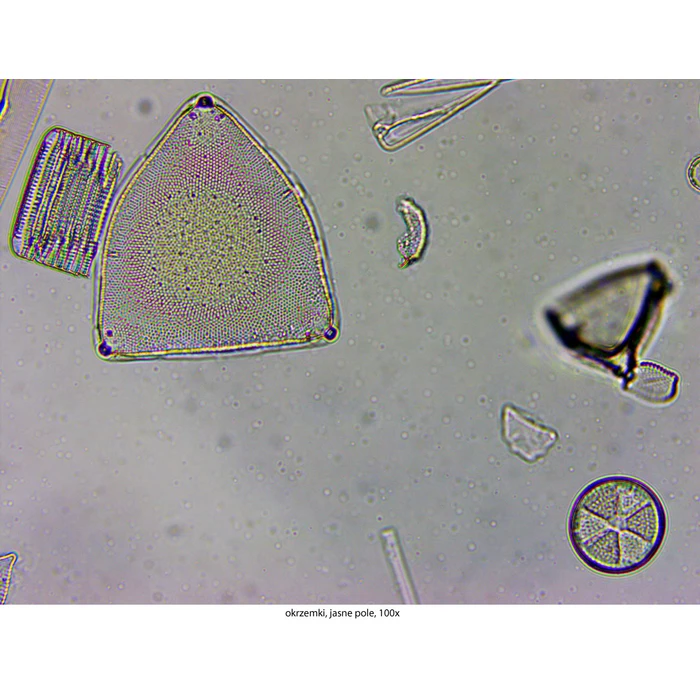 Mikroskop Delta Optical Genetic Pro Trino