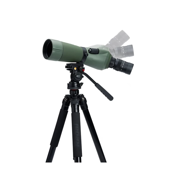 Luneta Celestron Regal M2 65